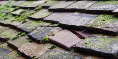 Clevedon roof repair costs